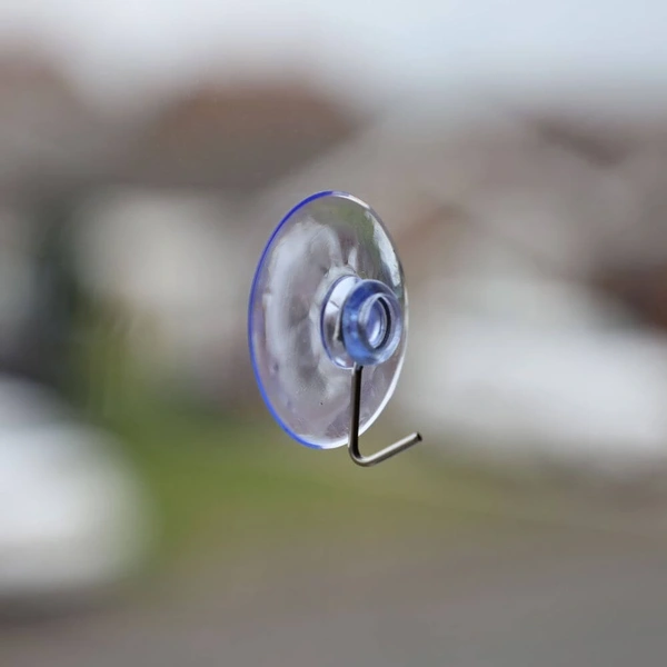 Suction Cup